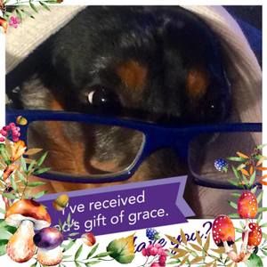 Meet your Posher, Pamela